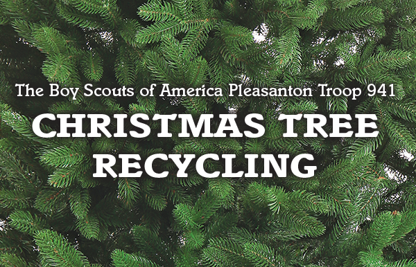 pleasanton boy scouts annual christmas tree recycling pleasanton boy scouts annual christmas tree recycling