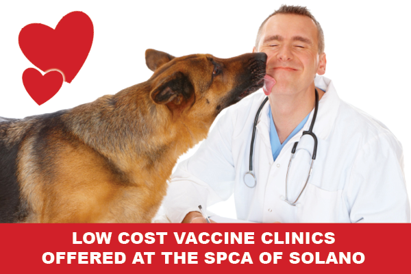 Vaccination Clinic at the SPCA of Solano County - Your ...