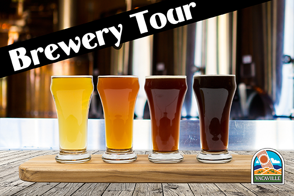 Sample Local Brews Winters