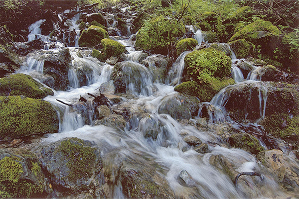 Falls Loop Geology Trek