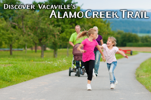 Alamo Creek Trail