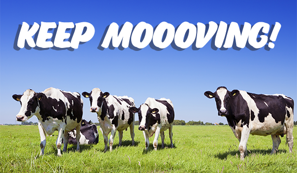 Keep Moooving