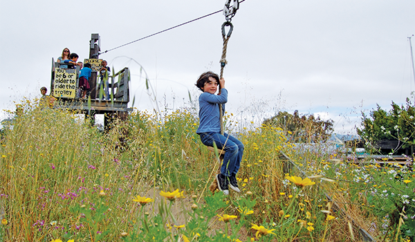 Berkeley Waterfront and Playground