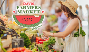 davis farmers market