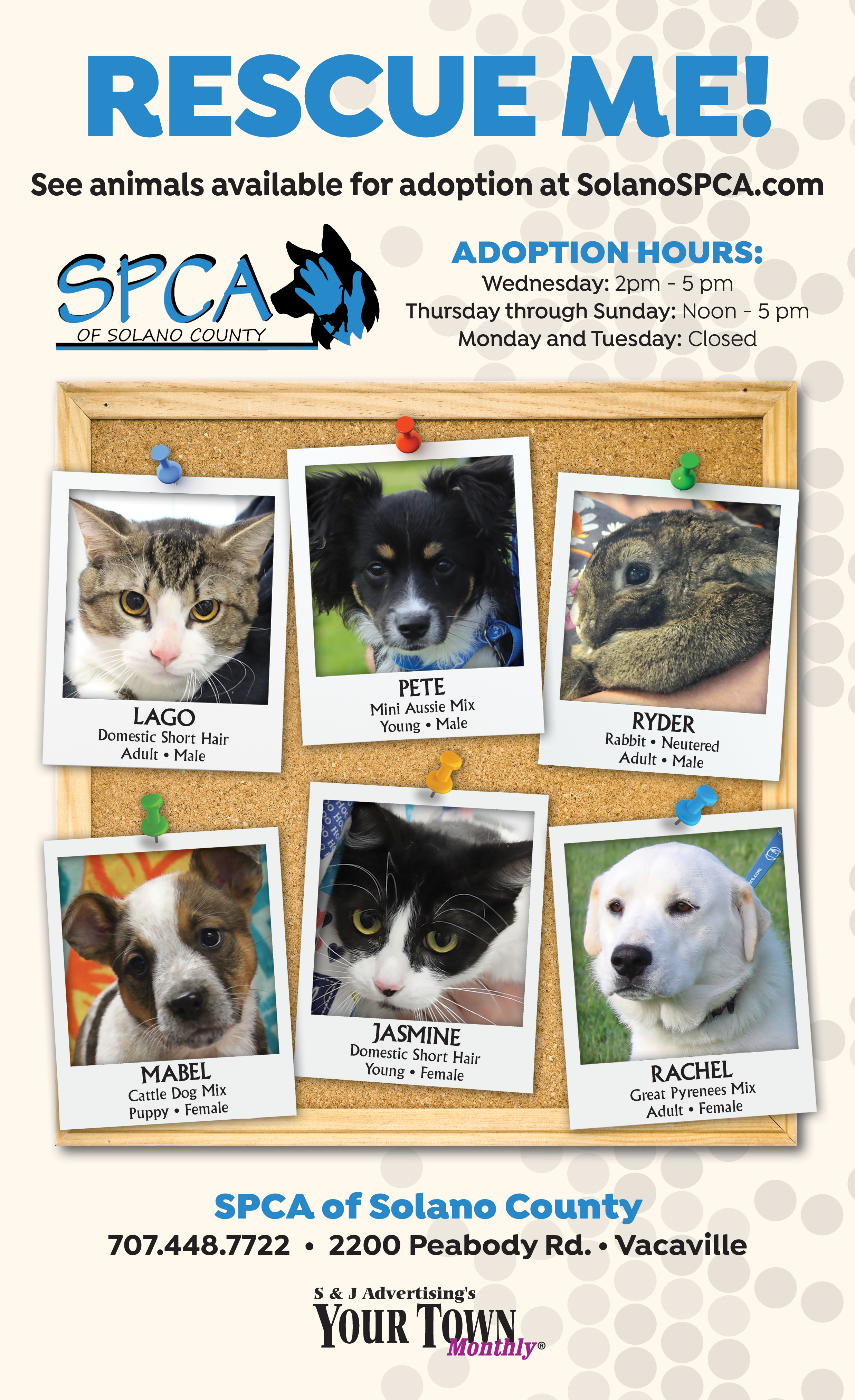 solano spca pet page