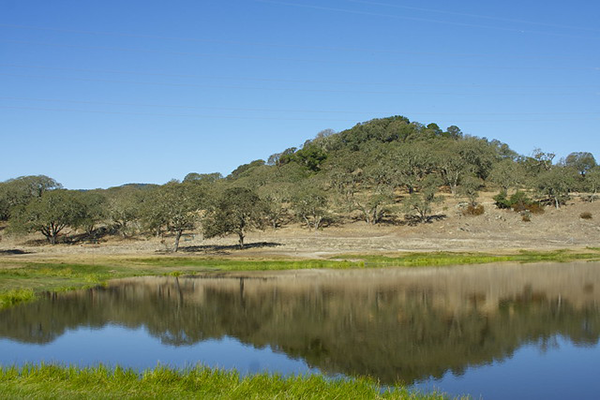 rockville hills regional park morning hike