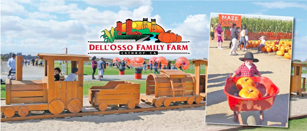 Fall Fun at Dell'Osso Family Farm in Lathrop - Your Town Monthly
