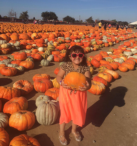 Fall Fun at Dell'Osso Family Farm in Lathrop - Your Town Monthly
