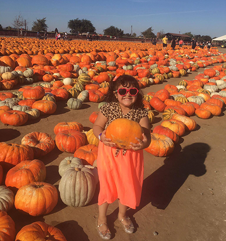 dell'osso farm pumpkin patch