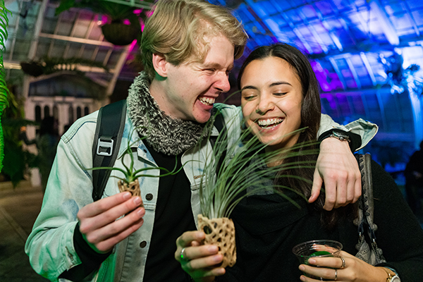 night bloom exhibit