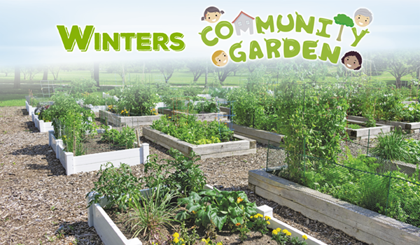 Garden Archives Your Town Monthly