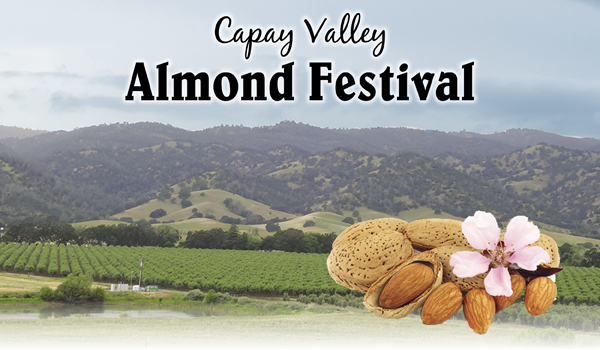 capay valley almond festival