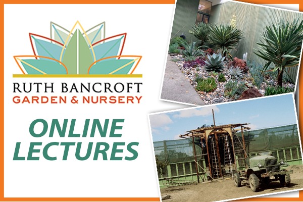 Ruth Bancroft Garden Online Lectures Your Town Monthly