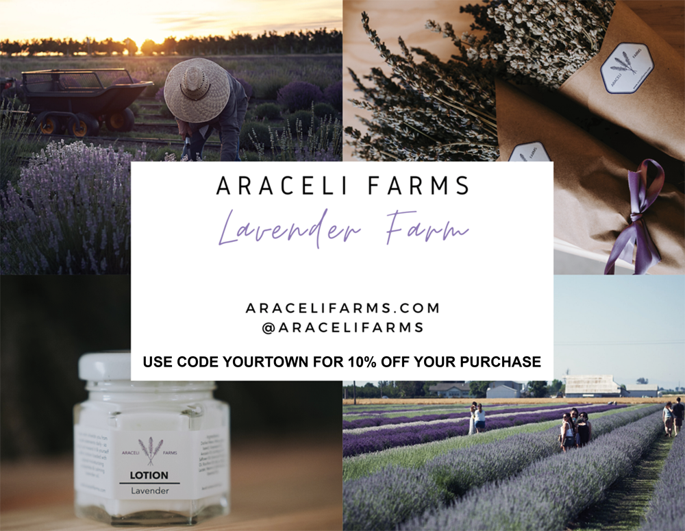 Spend A Summer Day In The Lavender Fields Of Dixon Your Town