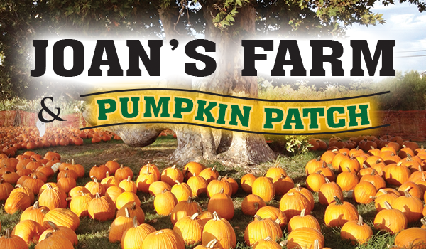 joans farm livermore pumpkin patch