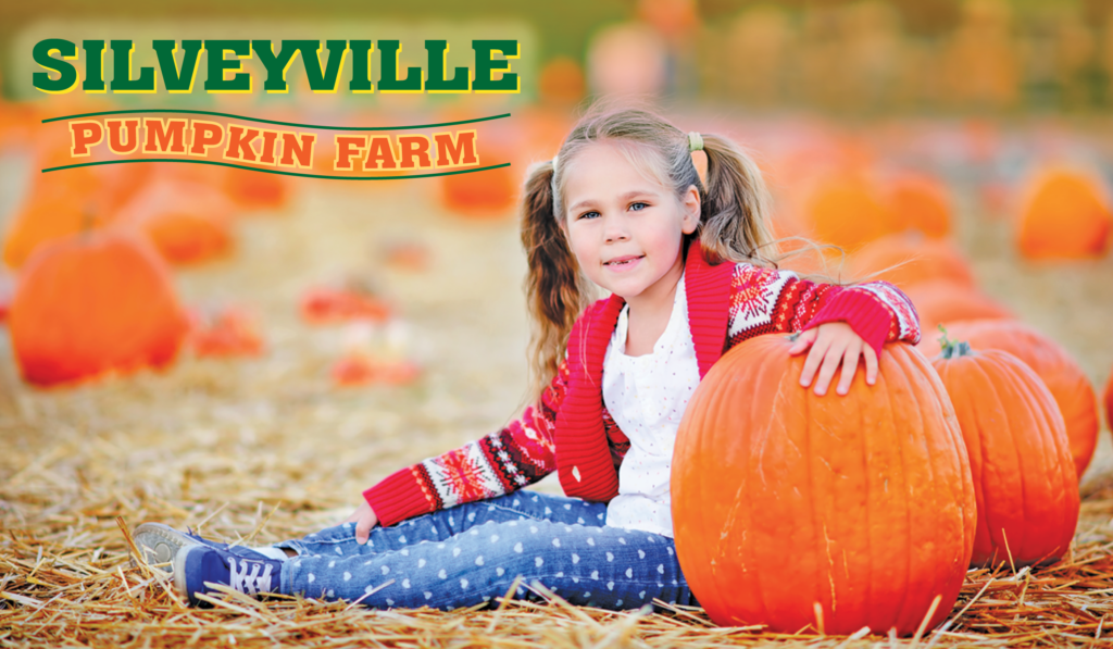 silveyville pumpkin farm