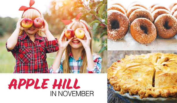 apple hill in november