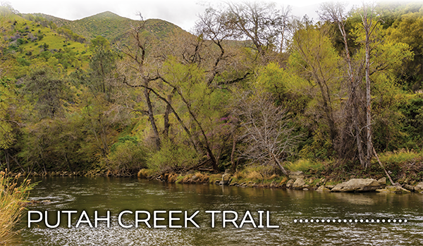 putah creek trail