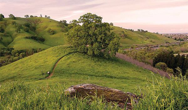 lagoon valley history