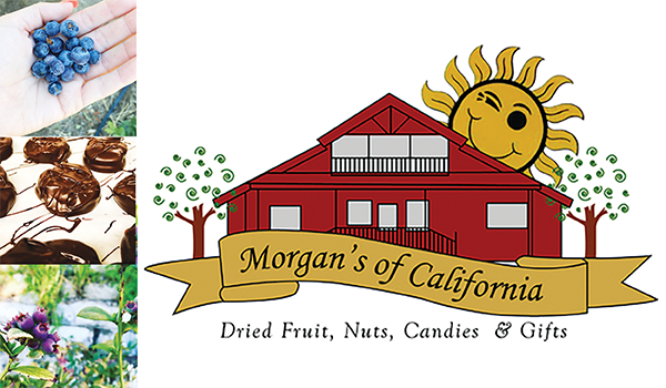 morgans of california winters