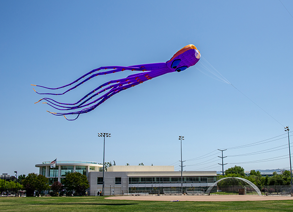 purple kite flying at San Ramon Central Park