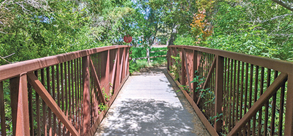 Lafayette Community Park bridge