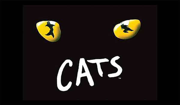 cats downtown theatre fairfield