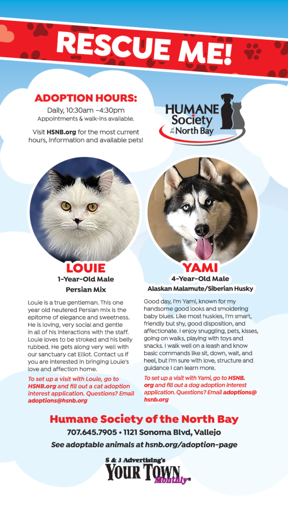 Pets for Adoption at Empire Animal Rescue Society, in Salamanca, NY