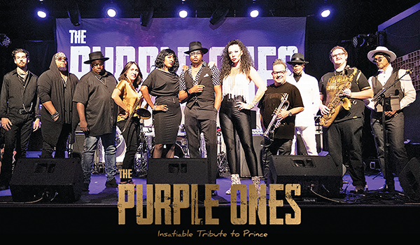 purple ones vallejo