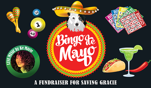 saving gracie bingo de mayo vacaville