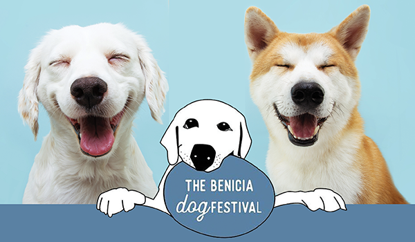 benicia dog festival