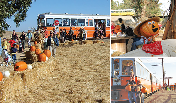western railway pumpkin patch