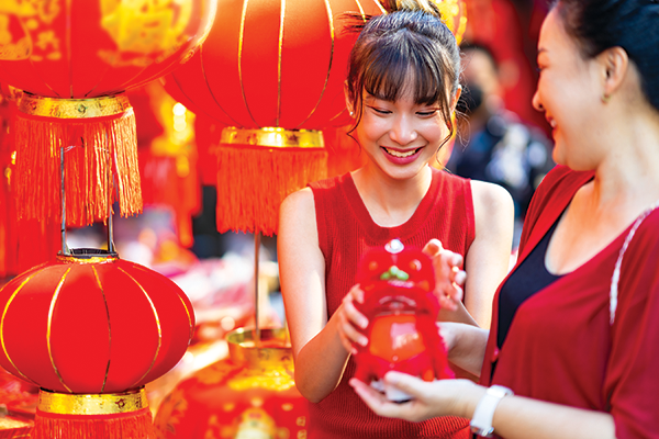 Chinese New Year Decorations Year of The Dragon Lunar Year Tree