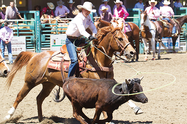 Rowell Ranch Pro Rodeo roping