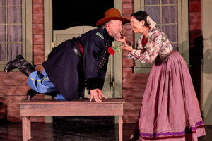 shakespeare at village theatre in danville